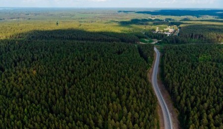 Земельный участок № 132 в Косуля — 10.10 соток