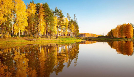 Продажа участка № 40 — Кедровка, площадь 15.75 соток