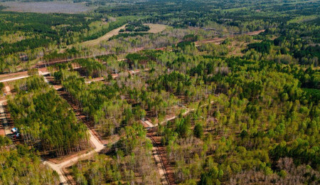 Участок № 5 в поселке Ласточка, площадь 13.53 соток