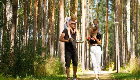 Участок № 5 — 13.53 соток в Ласточка, продажа