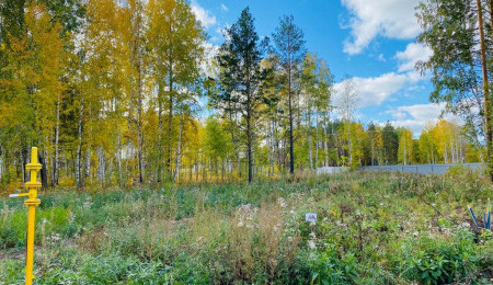 Участок № 40 в поселке Кедровка, площадь 15.75 соток