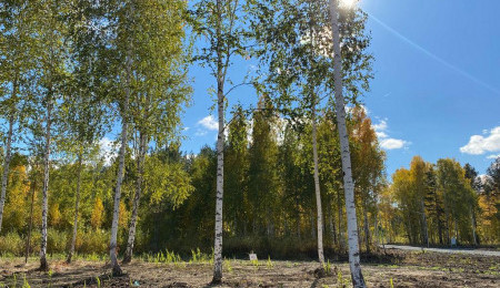 Участок № 4 в поселке Ласточка, площадь 9.72 соток