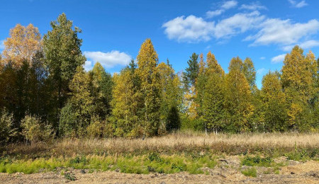 Участок № 12 — 13.14 соток в Ласточка, продажа