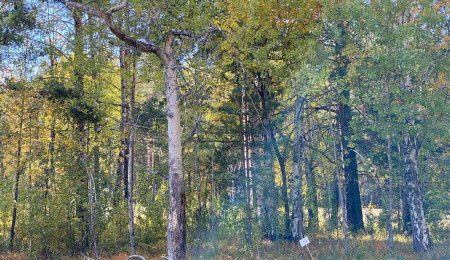 Участок № 18 в поселке Ласточка, площадь 13.05 соток
