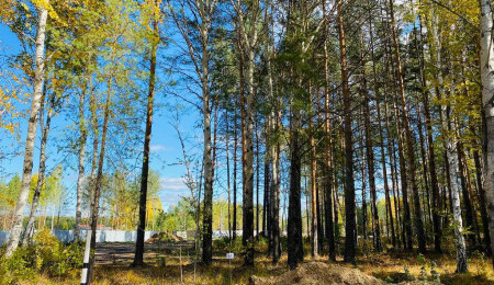 Участок № 47 в поселке Ласточка, площадь 11.75 соток