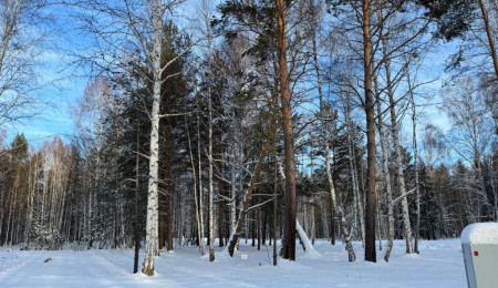 Участок № 90 в поселке Гранат, площадь 11.16 соток