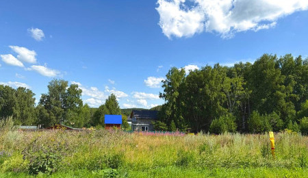 Участок № 4 в поселке Радость, площадь 9.69 соток