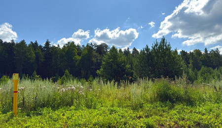 Участок № 24 в поселке Радость, площадь 14.94 соток