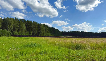 Участок № 41 в поселке Радость, площадь 15.00 соток