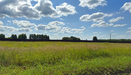 Участок № 59 в поселке Радость, площадь 10.62 соток