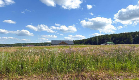 Участок № 85 в поселке Радость, площадь 8.75 соток