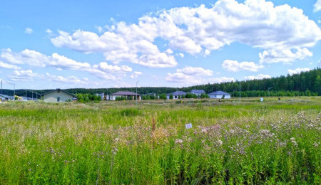 Участок № 95 в поселке Радость, площадь 10.07 соток