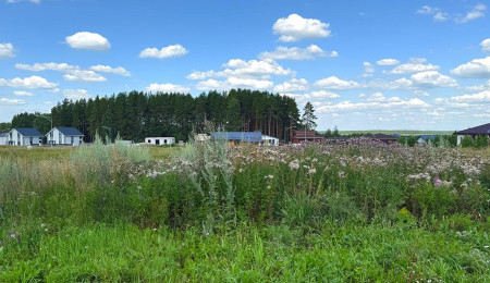 Участок № 98 в поселке Радость, площадь 9.57 соток