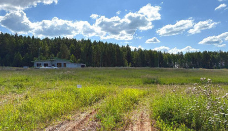 Участок № 100 в поселке Радость, площадь 11.95 соток
