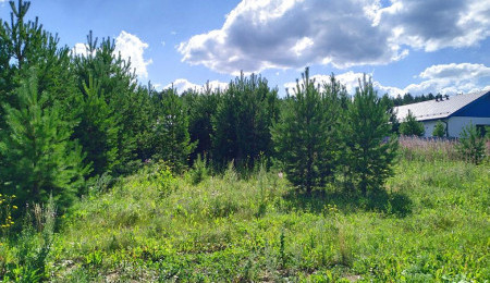 Участок № 123 в поселке Радость, площадь 8.69 соток