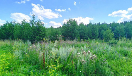 Участок № 139 в поселке Радость, площадь 8.69 соток