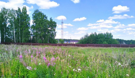 Участок № 249 в поселке Радость, площадь 8.23 соток