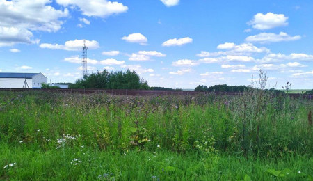 Участок № 250 в поселке Радость, площадь 8.12 соток
