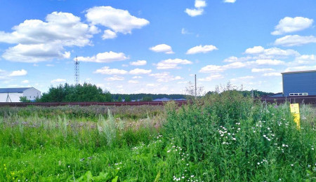 Участок № 251 в поселке Радость, площадь 8.00 соток