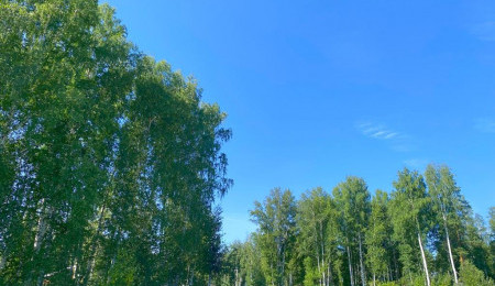 Участок № 35А в поселке Совята, площадь 13.32 соток