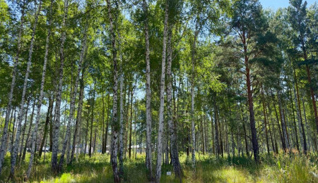 Участок № 3 в поселке Агат, площадь 15.01 соток