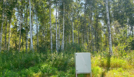 Участок № 51 в поселке Жемчужный, площадь 13.03 соток