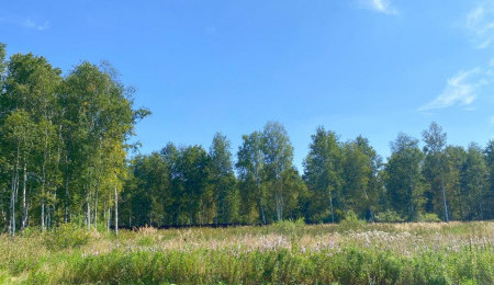 Участок № 53 в поселке Жемчужный, площадь 13.00 соток