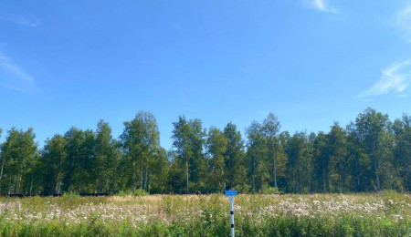 Участок № 54 в поселке Жемчужный, площадь 13.00 соток