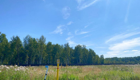 Участок № 56 в поселке Жемчужный, площадь 15.92 соток