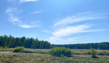 Участок № 59 в поселке Жемчужный, площадь 15.12 соток