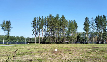 Участок № 5 в поселке Аист, площадь 12.09 соток