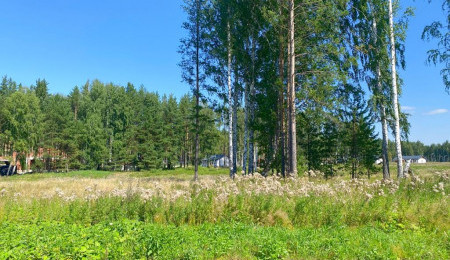 Участок № 90 в поселке Жемчужный, площадь 11.40 соток