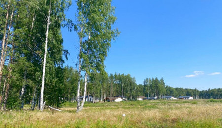 Участок № 91 в поселке Жемчужный, площадь 15.85 соток