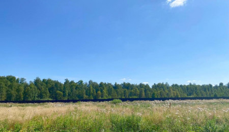 Участок № 101 в поселке Жемчужный, площадь 17.09 соток