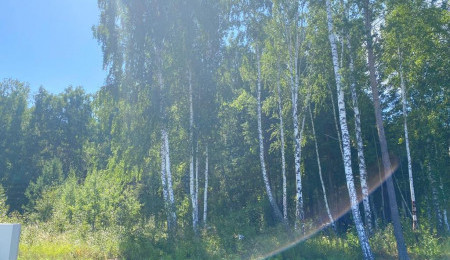 Участок № 105 в поселке Жемчужный, площадь 12.50 соток