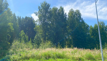 Участок № 106 в поселке Жемчужный, площадь 12.50 соток