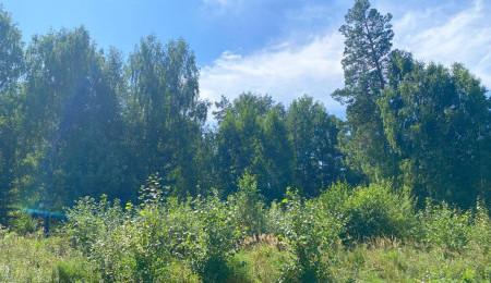 Участок № 107 в поселке Жемчужный, площадь 12.50 соток