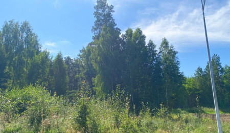 Участок № 108 в поселке Жемчужный, площадь 12.50 соток