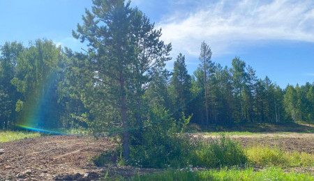 Участок № 109 в поселке Жемчужный, площадь 12.50 соток