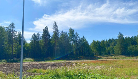 Участок № 110 в поселке Жемчужный, площадь 12.50 соток