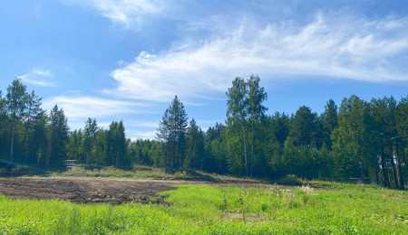 Участок № 112 в поселке Жемчужный, площадь 12.50 соток