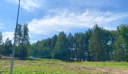 Участок № 113 в поселке Жемчужный, площадь 11.75 соток