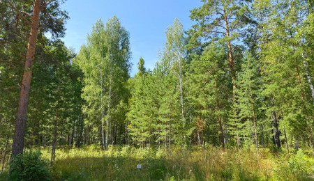 Участок № 13 в поселке Агат, площадь 19.05 соток