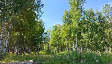 Участок № 15 в поселке Агат, площадь 19.05 соток