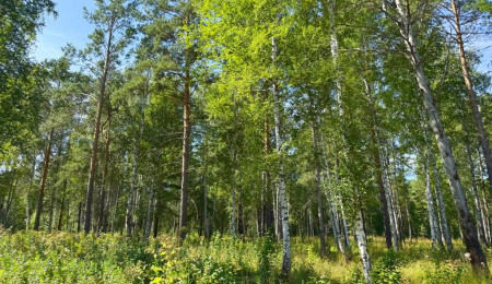 Участок № 16 в поселке Агат, площадь 19.05 соток