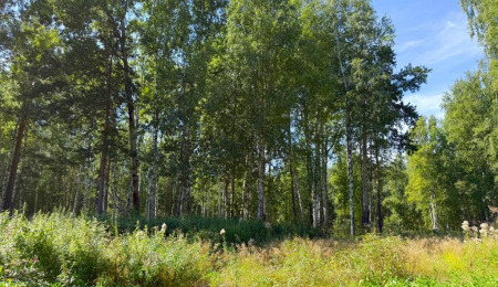 Участок № 18 в поселке Агат, площадь 19.05 соток