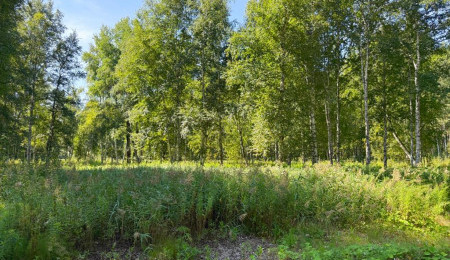 Участок № 20 в поселке Агат, площадь 18.56 соток