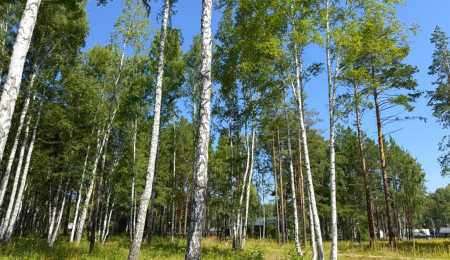 Участок № 34 в поселке Агат, площадь 18.00 соток