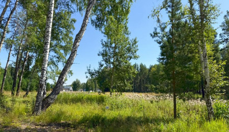Участок № 36 в поселке Агат, площадь 14.00 соток