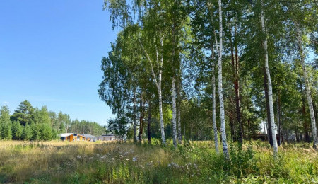 Участок № 37 в поселке Агат, площадь 14.00 соток